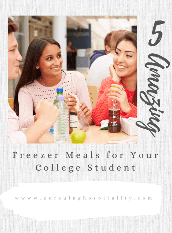 5 Amazing Freezer Meals for your College Students