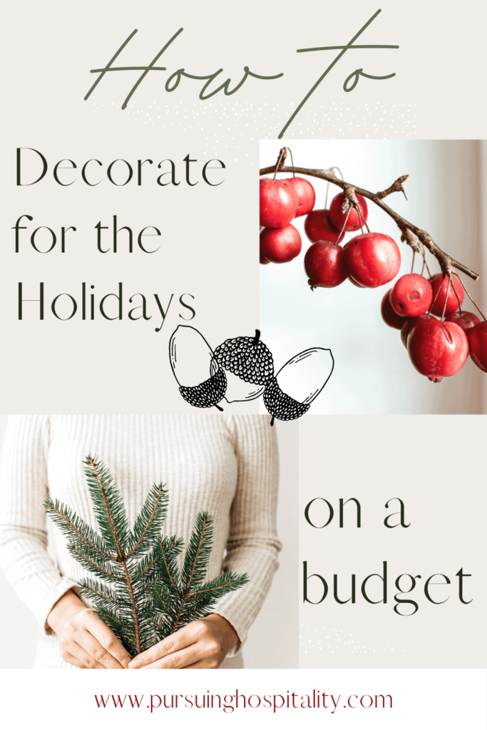 Decorate for the holidays on a budget woman holding greenery & cranberries 