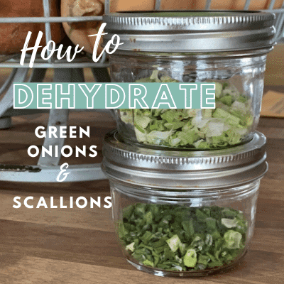 How To Dehydrate Green Onions and Scallions