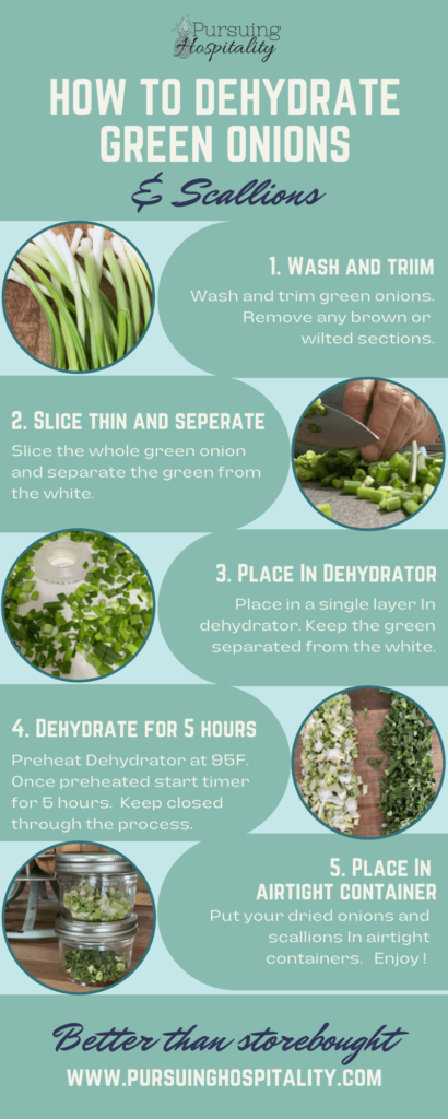How to dehydrate green onions and scallions infographic