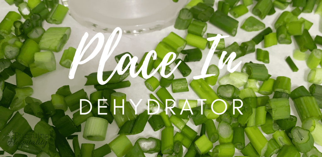 Place in dehydrator green onions